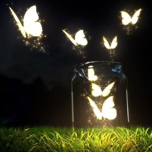 Meet your Posher, Joyce